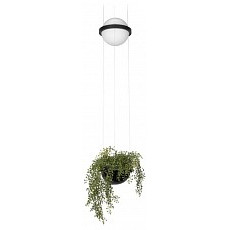 Подвесной светильник loft it jardin...